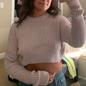 Urban outfitters purple and tan cropped sweater